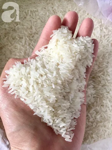 Chiêm Ngưỡng Hình Ảnh Gạo Quê Mộc Mạc: Tổng Hợp Vẻ Đẹp Hoa Mộc Miên Cho Người Yêu Làng Quê Chiêm Ngưỡng Hình Ảnh Gạo Quê Mộc Mạc: Tổng Hợp Vẻ Đẹp Hoa Mộc Miên Cho Người Yêu Làng Quê