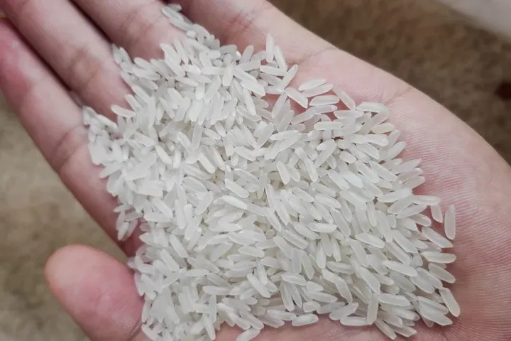 Chiêm Ngưỡng Hình Ảnh Gạo Quê Mộc Mạc: Tổng Hợp Vẻ Đẹp Hoa Mộc Miên Cho Người Yêu Làng Quê Chiêm Ngưỡng Hình Ảnh Gạo Quê Mộc Mạc: Tổng Hợp Vẻ Đẹp Hoa Mộc Miên Cho Người Yêu Làng Quê
