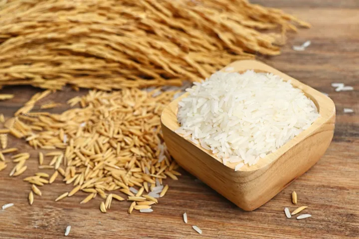 Chiêm Ngưỡng Hình Ảnh Gạo Quê Mộc Mạc: Tổng Hợp Vẻ Đẹp Hoa Mộc Miên Cho Người Yêu Làng Quê Chiêm Ngưỡng Hình Ảnh Gạo Quê Mộc Mạc: Tổng Hợp Vẻ Đẹp Hoa Mộc Miên Cho Người Yêu Làng Quê