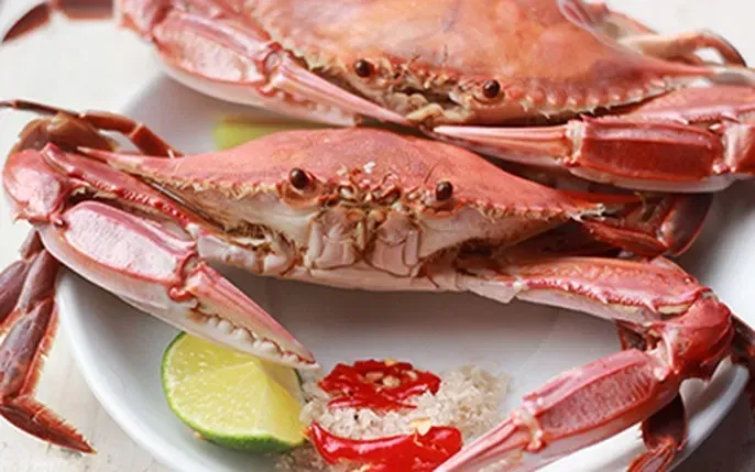 Tổng Hợp Hình Ảnh Và Công Thức Ghẹ Hấp Tại Nhà Cho Người Nội Trợ (ghẹ Xanh) Tổng Hợp Hình Ảnh Và Công Thức Ghẹ Hấp Tại Nhà Cho Người Nội Trợ (ghẹ Xanh)