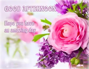 Tải Hình Ảnh Good Afternoon Đẹp Kèm Lời Chúc Ý Nghĩa Cho Người Thân Và Ảnh Động Tải Hình Ảnh Good Afternoon Đẹp Kèm Lời Chúc Ý Nghĩa Cho Người Thân Và Ảnh Động