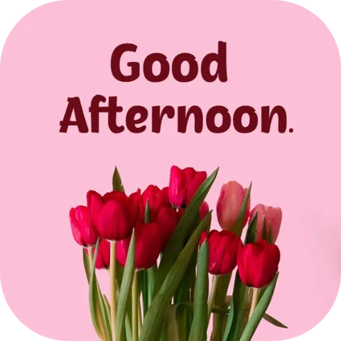Tải Hình Ảnh Good Afternoon Đẹp Kèm Lời Chúc Ý Nghĩa Cho Người Thân Và Ảnh Động Tải Hình Ảnh Good Afternoon Đẹp Kèm Lời Chúc Ý Nghĩa Cho Người Thân Và Ảnh Động