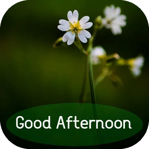 Tải Hình Ảnh Good Afternoon Đẹp Kèm Lời Chúc Ý Nghĩa Cho Người Thân Và Ảnh Động Tải Hình Ảnh Good Afternoon Đẹp Kèm Lời Chúc Ý Nghĩa Cho Người Thân Và Ảnh Động