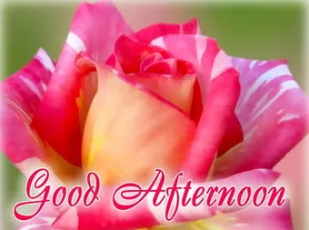 Tải Hình Ảnh Good Afternoon Đẹp Kèm Lời Chúc Ý Nghĩa Cho Người Thân Và Ảnh Động Tải Hình Ảnh Good Afternoon Đẹp Kèm Lời Chúc Ý Nghĩa Cho Người Thân Và Ảnh Động