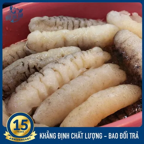 Khám Phá Hình Ảnh Và Đặc Điểm Nhận Diện Hải Sâm (nhân Sâm Biển) Cho Thực Khách Khám Phá Hình Ảnh Và Đặc Điểm Nhận Diện Hải Sâm (nhân Sâm Biển) Cho Thực Khách