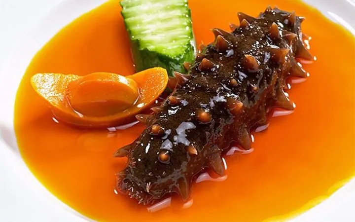 Khám Phá Hình Ảnh Và Đặc Điểm Nhận Diện Hải Sâm (nhân Sâm Biển) Cho Thực Khách Khám Phá Hình Ảnh Và Đặc Điểm Nhận Diện Hải Sâm (nhân Sâm Biển) Cho Thực Khách