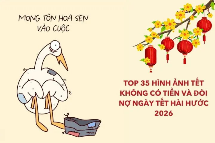 Tổng Hợp Hình Ảnh Hài Tết Và Meme Tết Vui Nhộn Để Chia Sẻ Cho Bạn Bè Dịp Xuân Mới Tổng Hợp Hình Ảnh Hài Tết Và Meme Tết Vui Nhộn Để Chia Sẻ Cho Bạn Bè Dịp Xuân Mới