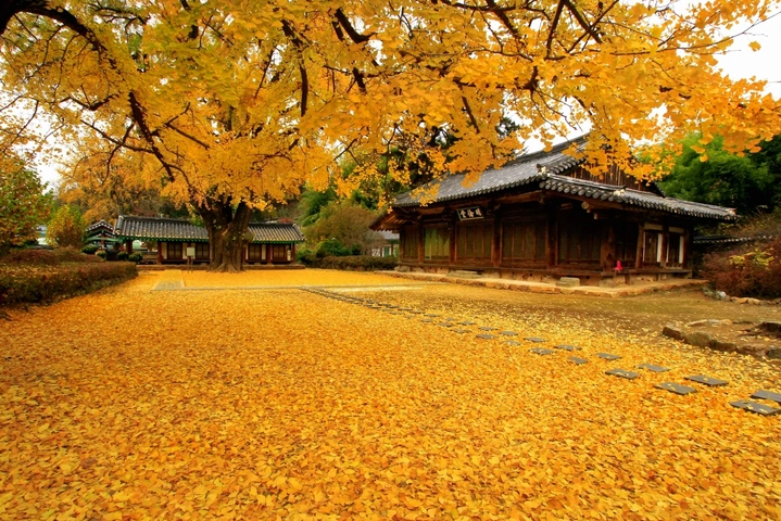 Tải Ngay 6.000+ Hình Ảnh Hàn Quốc Hd Miễn Phí – Dành Cho Nhà Thiết Kế & Blogger