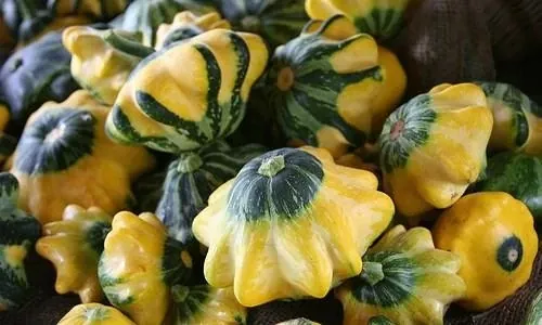 Khám Phá Hình Ảnh Hạt Bí Và Tác Dụng Của Hạt Bí Cho Người Quan Tâm Sức Khỏe Cùng Các Loại Hạt Bí Khám Phá Hình Ảnh Hạt Bí Và Tác Dụng Của Hạt Bí Cho Người Quan Tâm Sức Khỏe Cùng Các Loại Hạt Bí