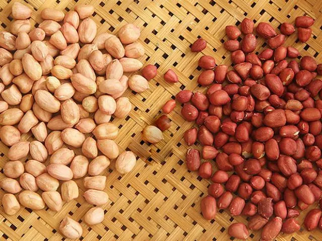 Tải Và Khám Phá Hình Ảnh Hạt Lạc (đậu Phộng): Phân Biệt Lạc Đỏ, Lạc Trắng Cho Người Dùng Tải Và Khám Phá Hình Ảnh Hạt Lạc (đậu Phộng): Phân Biệt Lạc Đỏ, Lạc Trắng Cho Người Dùng