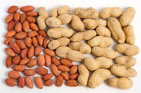 Tải Và Khám Phá Hình Ảnh Hạt Lạc (đậu Phộng): Phân Biệt Lạc Đỏ, Lạc Trắng Cho Người Dùng Tải Và Khám Phá Hình Ảnh Hạt Lạc (đậu Phộng): Phân Biệt Lạc Đỏ, Lạc Trắng Cho Người Dùng