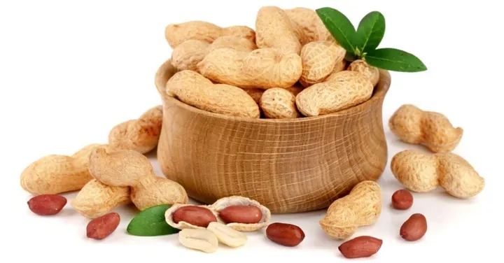Tải Và Khám Phá Hình Ảnh Hạt Lạc (đậu Phộng): Phân Biệt Lạc Đỏ, Lạc Trắng Cho Người Dùng Tải Và Khám Phá Hình Ảnh Hạt Lạc (đậu Phộng): Phân Biệt Lạc Đỏ, Lạc Trắng Cho Người Dùng