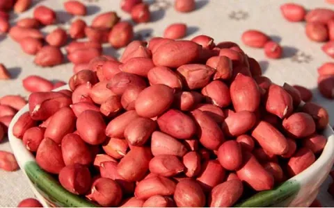 Tải Và Khám Phá Hình Ảnh Hạt Lạc (đậu Phộng): Phân Biệt Lạc Đỏ, Lạc Trắng Cho Người Dùng Tải Và Khám Phá Hình Ảnh Hạt Lạc (đậu Phộng): Phân Biệt Lạc Đỏ, Lạc Trắng Cho Người Dùng