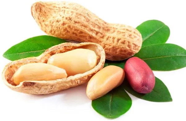 Tải Và Khám Phá Hình Ảnh Hạt Lạc (đậu Phộng): Phân Biệt Lạc Đỏ, Lạc Trắng Cho Người Dùng Tải Và Khám Phá Hình Ảnh Hạt Lạc (đậu Phộng): Phân Biệt Lạc Đỏ, Lạc Trắng Cho Người Dùng