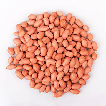 Tải Và Khám Phá Hình Ảnh Hạt Lạc (đậu Phộng): Phân Biệt Lạc Đỏ, Lạc Trắng Cho Người Dùng Tải Và Khám Phá Hình Ảnh Hạt Lạc (đậu Phộng): Phân Biệt Lạc Đỏ, Lạc Trắng Cho Người Dùng