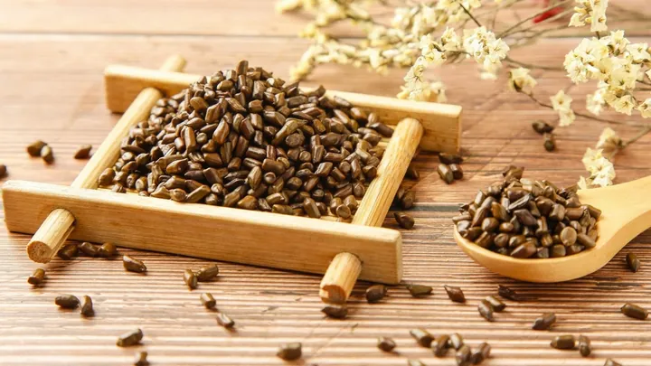 Xem Hình Ảnh Hạt Muồng (thảo Quyết Minh) Thực Tế Và Tác Dụng Cho Người Quan Tâm Sức Khỏe Xem Hình Ảnh Hạt Muồng (thảo Quyết Minh) Thực Tế Và Tác Dụng Cho Người Quan Tâm Sức Khỏe