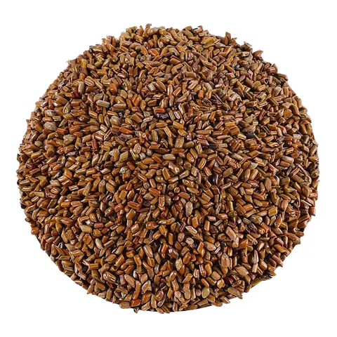 Xem Hình Ảnh Hạt Muồng (thảo Quyết Minh) Thực Tế Và Tác Dụng Cho Người Quan Tâm Sức Khỏe Xem Hình Ảnh Hạt Muồng (thảo Quyết Minh) Thực Tế Và Tác Dụng Cho Người Quan Tâm Sức Khỏe