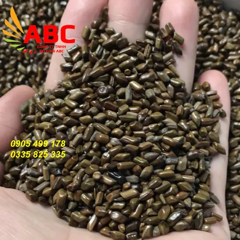 Xem Hình Ảnh Hạt Muồng (thảo Quyết Minh) Thực Tế Và Tác Dụng Cho Người Quan Tâm Sức Khỏe Xem Hình Ảnh Hạt Muồng (thảo Quyết Minh) Thực Tế Và Tác Dụng Cho Người Quan Tâm Sức Khỏe