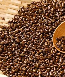 Xem Hình Ảnh Hạt Muồng (thảo Quyết Minh) Thực Tế Và Tác Dụng Cho Người Quan Tâm Sức Khỏe Xem Hình Ảnh Hạt Muồng (thảo Quyết Minh) Thực Tế Và Tác Dụng Cho Người Quan Tâm Sức Khỏe
