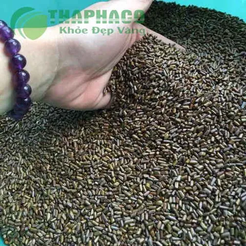Xem Hình Ảnh Hạt Muồng (thảo Quyết Minh) Thực Tế Và Tác Dụng Cho Người Quan Tâm Sức Khỏe Xem Hình Ảnh Hạt Muồng (thảo Quyết Minh) Thực Tế Và Tác Dụng Cho Người Quan Tâm Sức Khỏe