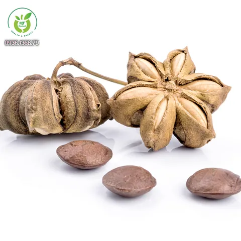Xem Hình Ảnh Hạt Sachi Thực Tế Cho Người Quan Tâm: Nhận Diện Quả Sacha Inchi Và Lợi Ích Sức Khỏe Xem Hình Ảnh Hạt Sachi Thực Tế Cho Người Quan Tâm: Nhận Diện Quả Sacha Inchi Và Lợi Ích Sức Khỏe