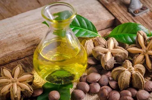 Xem Hình Ảnh Hạt Sachi Thực Tế Cho Người Quan Tâm: Nhận Diện Quả Sacha Inchi Và Lợi Ích Sức Khỏe Xem Hình Ảnh Hạt Sachi Thực Tế Cho Người Quan Tâm: Nhận Diện Quả Sacha Inchi Và Lợi Ích Sức Khỏe