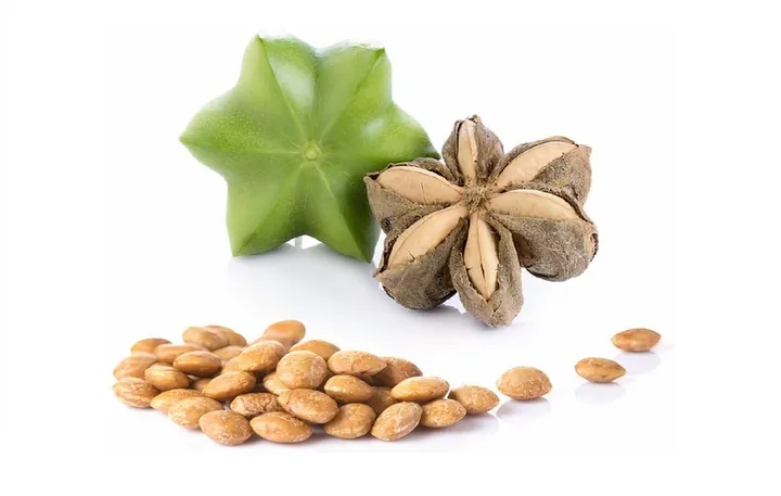 Xem Hình Ảnh Hạt Sachi Thực Tế Cho Người Quan Tâm: Nhận Diện Quả Sacha Inchi Và Lợi Ích Sức Khỏe Xem Hình Ảnh Hạt Sachi Thực Tế Cho Người Quan Tâm: Nhận Diện Quả Sacha Inchi Và Lợi Ích Sức Khỏe