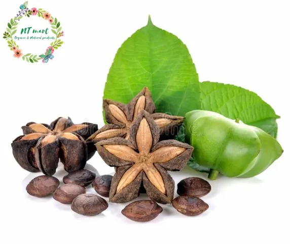 Xem Hình Ảnh Hạt Sachi Thực Tế Cho Người Quan Tâm: Nhận Diện Quả Sacha Inchi Và Lợi Ích Sức Khỏe Xem Hình Ảnh Hạt Sachi Thực Tế Cho Người Quan Tâm: Nhận Diện Quả Sacha Inchi Và Lợi Ích Sức Khỏe