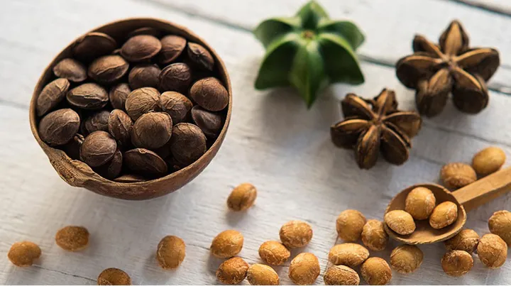 Xem Hình Ảnh Hạt Sachi Thực Tế Cho Người Quan Tâm: Nhận Diện Quả Sacha Inchi Và Lợi Ích Sức Khỏe Xem Hình Ảnh Hạt Sachi Thực Tế Cho Người Quan Tâm: Nhận Diện Quả Sacha Inchi Và Lợi Ích Sức Khỏe