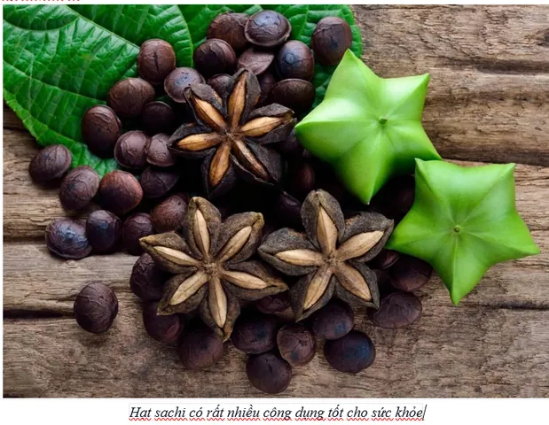 Xem Hình Ảnh Hạt Sachi Thực Tế Cho Người Quan Tâm: Nhận Diện Quả Sacha Inchi Và Lợi Ích Sức Khỏe Xem Hình Ảnh Hạt Sachi Thực Tế Cho Người Quan Tâm: Nhận Diện Quả Sacha Inchi Và Lợi Ích Sức Khỏe