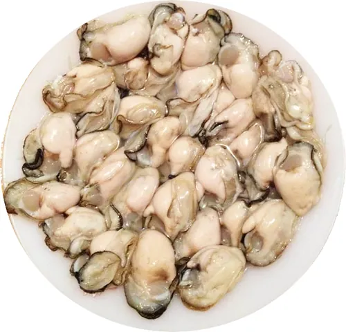 Xem Hình Ảnh Hàu Sữa Thực Tế & Phân Biệt Với Hàu Đá Cho Người Mua Hải Sản Xem Hình Ảnh Hàu Sữa Thực Tế & Phân Biệt Với Hàu Đá Cho Người Mua Hải Sản