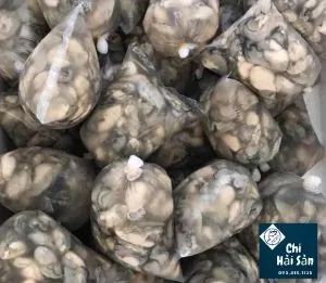 Xem Hình Ảnh Hàu Sữa Thực Tế & Phân Biệt Với Hàu Đá Cho Người Mua Hải Sản Xem Hình Ảnh Hàu Sữa Thực Tế & Phân Biệt Với Hàu Đá Cho Người Mua Hải Sản