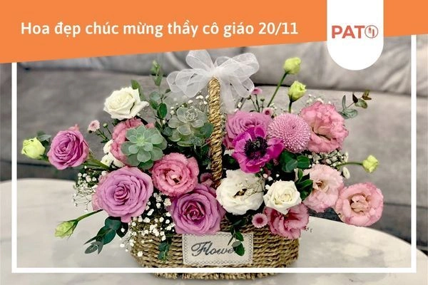 Tải Ngay 200+ Hình Ảnh Hoa Chúc Mừng Ngày 20/11 – Bộ Sưu Tập Đẹp Dành Cho Giáo Viên & Phụ Huynh Tải Ngay 200+ Hình Ảnh Hoa Chúc Mừng Ngày 20/11 – Bộ Sưu Tập Đẹp Dành Cho Giáo Viên & Phụ Huynh