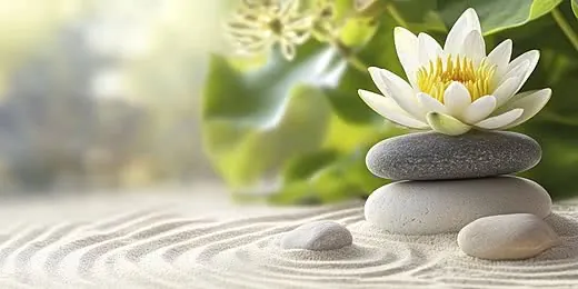 Chiêm Ngưỡng Và Tải Xuống Hình Ảnh Hoa Đá (sen Đá) Đẹp Nhất Cho Điện Thoại Và Máy Tính Cùng Các Loài Sen Đá Phổ Biến Chiêm Ngưỡng Và Tải Xuống Hình Ảnh Hoa Đá (sen Đá) Đẹp Nhất Cho Điện Thoại Và Máy Tính Cùng Các Loài Sen Đá Phổ Biến