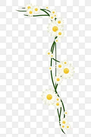 Tải Xuống Hình Ảnh Hoa Dây Vector, Png, Psd Cho Designer Kèm Mẫu Dây Leo Hoa Tải Xuống Hình Ảnh Hoa Dây Vector, Png, Psd Cho Designer Kèm Mẫu Dây Leo Hoa