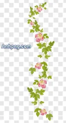 Tải Xuống Hình Ảnh Hoa Dây Vector, Png, Psd Cho Designer Kèm Mẫu Dây Leo Hoa Tải Xuống Hình Ảnh Hoa Dây Vector, Png, Psd Cho Designer Kèm Mẫu Dây Leo Hoa