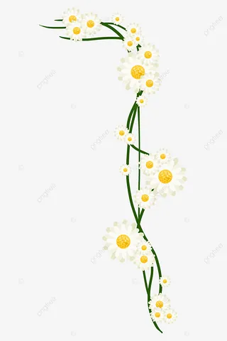 Tải Xuống Hình Ảnh Hoa Dây Vector, Png, Psd Cho Designer Kèm Mẫu Dây Leo Hoa Tải Xuống Hình Ảnh Hoa Dây Vector, Png, Psd Cho Designer Kèm Mẫu Dây Leo Hoa