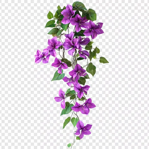 Tải Xuống Hình Ảnh Hoa Dây Vector, Png, Psd Cho Designer Kèm Mẫu Dây Leo Hoa Tải Xuống Hình Ảnh Hoa Dây Vector, Png, Psd Cho Designer Kèm Mẫu Dây Leo Hoa