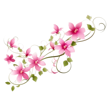 Tải Xuống Hình Ảnh Hoa Dây Vector, Png, Psd Cho Designer Kèm Mẫu Dây Leo Hoa Tải Xuống Hình Ảnh Hoa Dây Vector, Png, Psd Cho Designer Kèm Mẫu Dây Leo Hoa