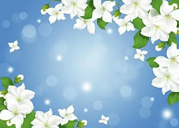Tải Về Hình Ảnh Hoa Lài (hoa Nhài) Ý Nghĩa Và Các Loài Lài Ta, Lài Tây Cho Điện Thoại, Máy Tính
