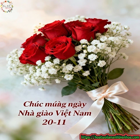 Hình Ảnh Hoa Ngày Nhà Giáo Việt Nam: Bộ Sưu Tập Đầy Cảm Hứng & Hướng Dẫn Tặng Hoa Ý Nghĩa Cho Thầy Cô