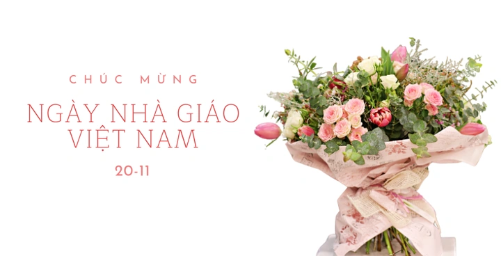 Hình Ảnh Hoa Ngày Nhà Giáo Việt Nam: Bộ Sưu Tập Đầy Cảm Hứng & Hướng Dẫn Tặng Hoa Ý Nghĩa Cho Thầy Cô