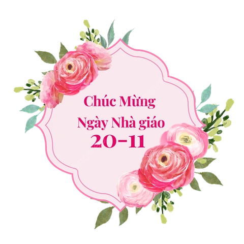 Hình Ảnh Hoa Ngày Nhà Giáo Việt Nam: Bộ Sưu Tập Đầy Cảm Hứng & Hướng Dẫn Tặng Hoa Ý Nghĩa Cho Thầy Cô