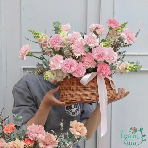 Khám Phá Hình Ảnh Hoa Phăng (hoa Cẩm Chướng) Và Ý Nghĩa Tuyệt Đẹp Cho Người Yêu Hoa Khám Phá Hình Ảnh Hoa Phăng (hoa Cẩm Chướng) Và Ý Nghĩa Tuyệt Đẹp Cho Người Yêu Hoa