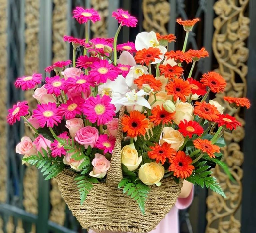 Tải Về 150+ Hình Ảnh Hoa & Tiền Chúc Mừng Sinh Nhật – Bộ Sưu Tập Độc Đáo Dành Cho Người Muốn Tạo Thiệp Và Quà Tặng