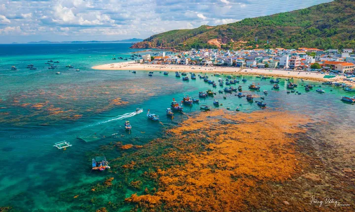 Chiêm Ngưỡng Hình Ảnh Hòn Khô Quy Nhơn: Vẻ Đẹp Hoang Sơ Của Đảo Đá Dành Cho Du Khách Chiêm Ngưỡng Hình Ảnh Hòn Khô Quy Nhơn: Vẻ Đẹp Hoang Sơ Của Đảo Đá Dành Cho Du Khách