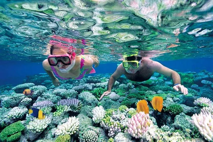 Chiêm Ngưỡng Hình Ảnh Hòn Khô Quy Nhơn: Vẻ Đẹp Hoang Sơ Của Đảo Đá Dành Cho Du Khách Chiêm Ngưỡng Hình Ảnh Hòn Khô Quy Nhơn: Vẻ Đẹp Hoang Sơ Của Đảo Đá Dành Cho Du Khách