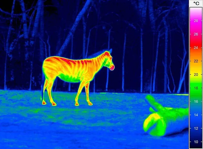 Khám Phá Hình Ảnh Hồng Ngoại: Phân Biệt Nhiếp Ảnh Ir Và Camera Quan Sát Cùng Kỹ Thuật Tạo Ảnh Cho Người Mới Bắt Đầu Khám Phá Hình Ảnh Hồng Ngoại: Phân Biệt Nhiếp Ảnh Ir Và Camera Quan Sát Cùng Kỹ Thuật Tạo Ảnh Cho Người Mới Bắt Đầu