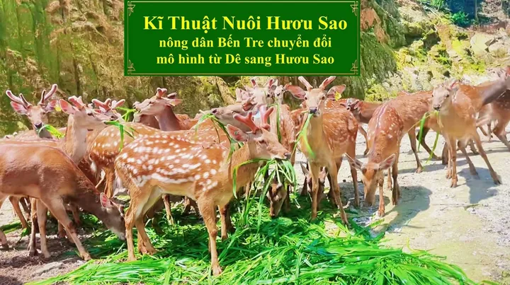 Tải Xuống Hình Ảnh Hươu Sao Và Vector Minh Họa Chất Lượng Cao Cho Designer Tải Xuống Hình Ảnh Hươu Sao Và Vector Minh Họa Chất Lượng Cao Cho Designer