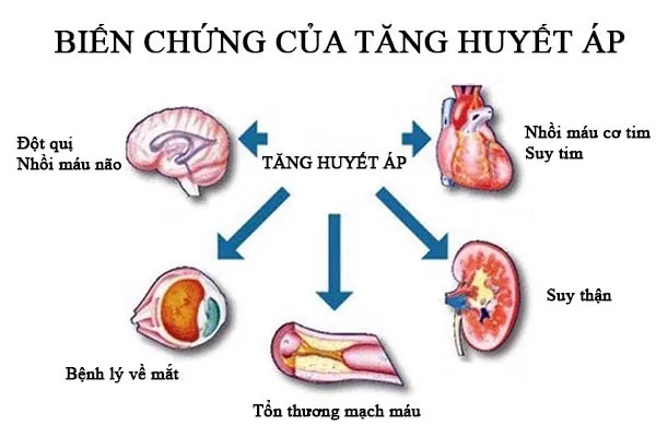 Hướng Dẫn Giải Mã Ý Nghĩa Chỉ Số Hình Ảnh Huyết Áp (biểu Đồ Huyết Áp) Cho Người Dùng Hướng Dẫn Giải Mã Ý Nghĩa Chỉ Số Hình Ảnh Huyết Áp (biểu Đồ Huyết Áp) Cho Người Dùng